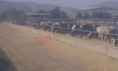 Oportunidad para inversión Venta de Rancho Agrícola y Ganadero en Ejido 6 de Enero, Lerdo, Dgo.