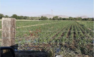 Oportunidad para inversión Venta de Rancho Agrícola y Ganadero en Ejido 6 de Enero, Lerdo, Dgo.