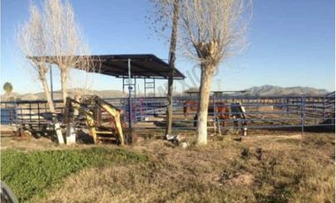 Oportunidad para inversión Venta de Rancho Agrícola y Ganadero en Ejido 6 de Enero, Lerdo, Dgo.