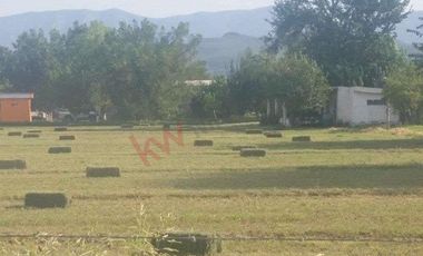 Oportunidad para inversión Venta de Rancho Agrícola y Ganadero en Ejido 6 de Enero, Lerdo, Dgo.