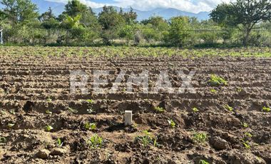 VENTA DE TERRENO - (3)