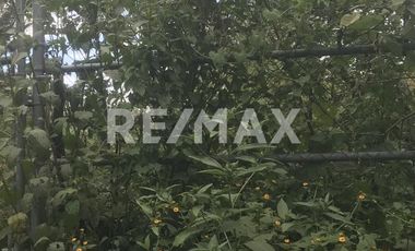 VENTA DE TERRENO  - (3)