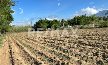 VENTA DE TERRENO  - (3)