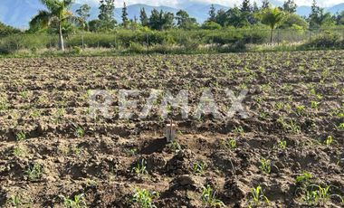 VENTA DE TERRENO  - (3)