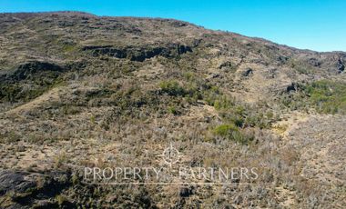 Patagonia, 45ha campo laguna La Manga, Puerto Guadal