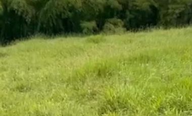 VENTA de FINCAS en PEREIRA