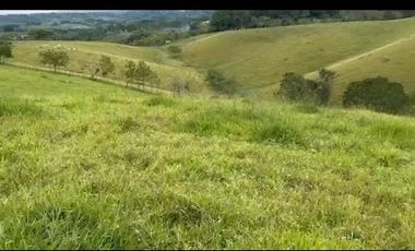 VENTA de FINCAS en PEREIRA
