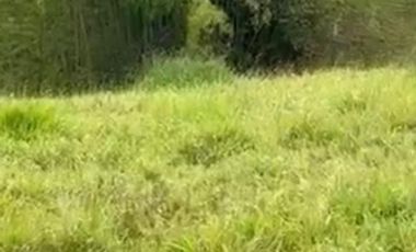 VENTA de FINCAS en PEREIRA