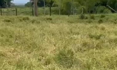 VENTA de FINCAS en PEREIRA