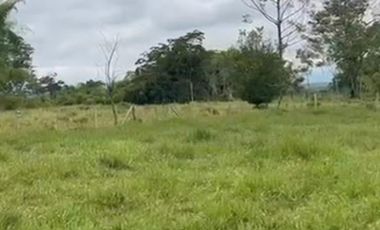 VENTA de FINCAS en PEREIRA