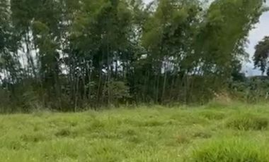 VENTA de FINCAS en PEREIRA