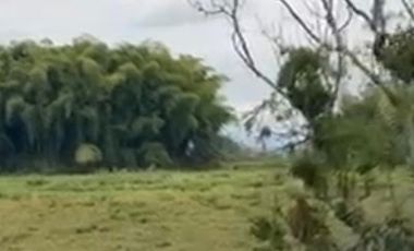 VENTA de FINCAS en PEREIRA
