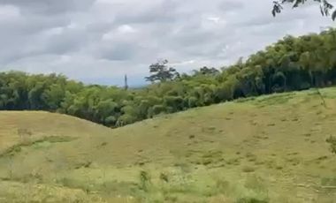 VENTA de FINCAS en PEREIRA