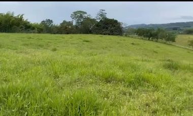 VENTA de FINCAS en PEREIRA