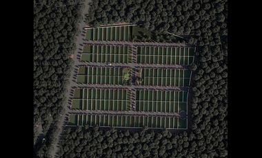 Terreno en venta en Paraíso Conkal