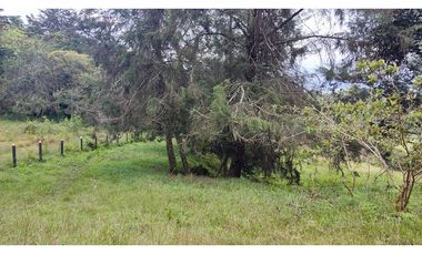 LOTE EN SANTUARIO VEREDA POTRERITO