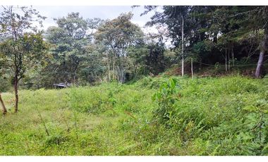 LOTE EN SANTUARIO VEREDA POTRERITO