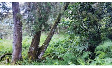 LOTE EN SANTUARIO VEREDA POTRERITO