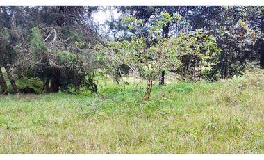 LOTE EN SANTUARIO VEREDA POTRERITO