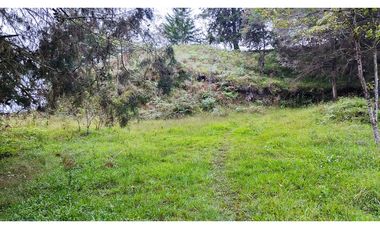 LOTE EN SANTUARIO VEREDA POTRERITO