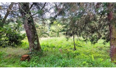LOTE EN SANTUARIO VEREDA POTRERITO
