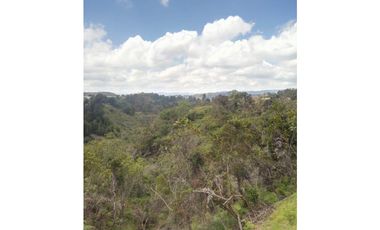 ESPECTACULAR  FINCA SAN VICENTE