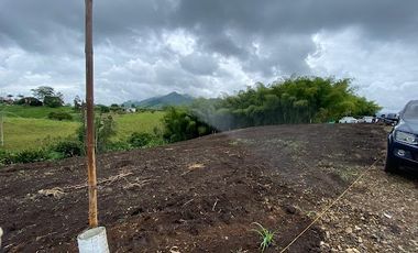 VENTA de LOTES en PEREIRA