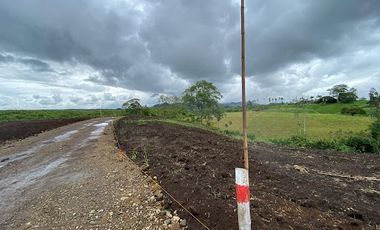 VENTA de LOTES en PEREIRA