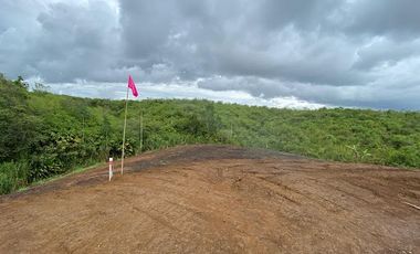 VENTA de LOTES en PEREIRA