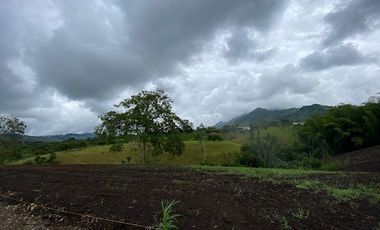 VENTA de LOTES en PEREIRA