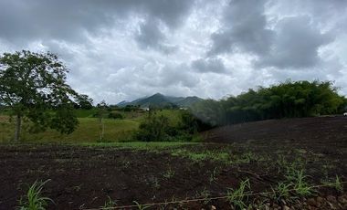 VENTA de LOTES en PEREIRA