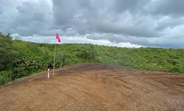 VENTA de LOTES en PEREIRA
