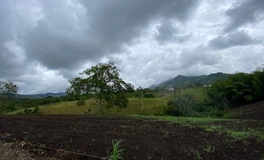 VENTA de LOTES en PEREIRA