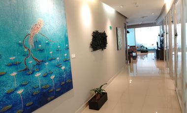 Oficinas en renta en Sonata