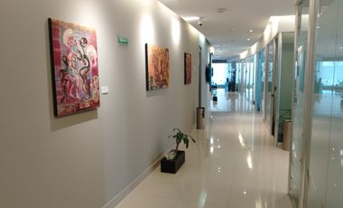 Oficinas en renta en Sonata