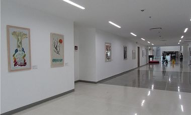 LOCAL CENTRO INTERNACIONAL DE ESPECIALISTAS