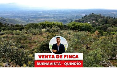 VENTA DE FINCA EN BUENAVISTA, QUINDO, COLOMBIA