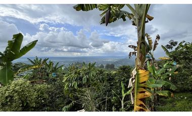 VENTA DE FINCA EN BUENAVISTA, QUINDO, COLOMBIA