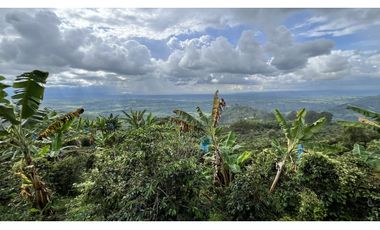 VENTA DE FINCA EN BUENAVISTA, QUINDO, COLOMBIA