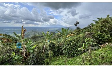 VENTA DE FINCA EN BUENAVISTA, QUINDO, COLOMBIA