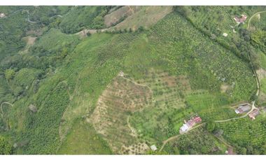 VENTA DE FINCA EN BUENAVISTA, QUINDO, COLOMBIA