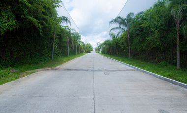 ALQUILER BODEGAS NUEVAS 900 A 10000 M2 PARQUE INDUSTRIAL MAÑANITAS