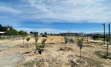 Peralillo, Casa Nueva en el Campo