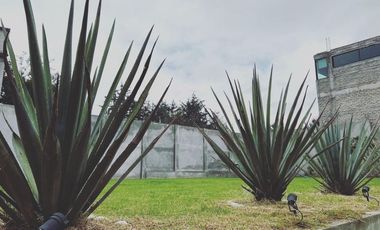 Terreno en Venta en San Mateo Tlaltenango