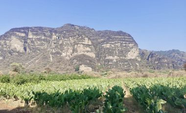Espectacular Terreno en Venta en Tlayacapan; Morelos
