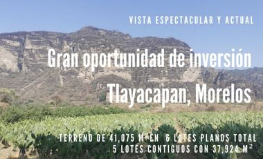 Espectacular Terreno en Venta en Tlayacapan; Morelos