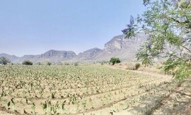 Espectacular Terreno en Venta en Tlayacapan; Morelos