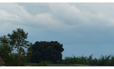VENTA LOTE CONJUNTO CERRADO SECTOR MURILLO ARMENIA QUINDIO