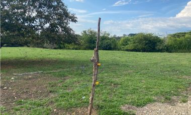Lotes desde 1.500m2 hasta 2.540m2 en venta La Buitrera Palmira Valle