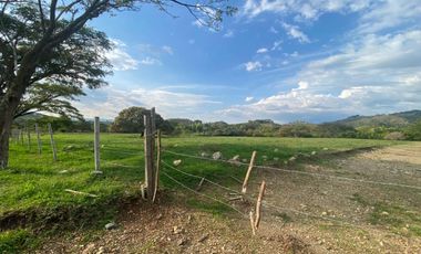 Lotes desde 1.500m2 hasta 2.540m2 en venta La Buitrera Palmira Valle
